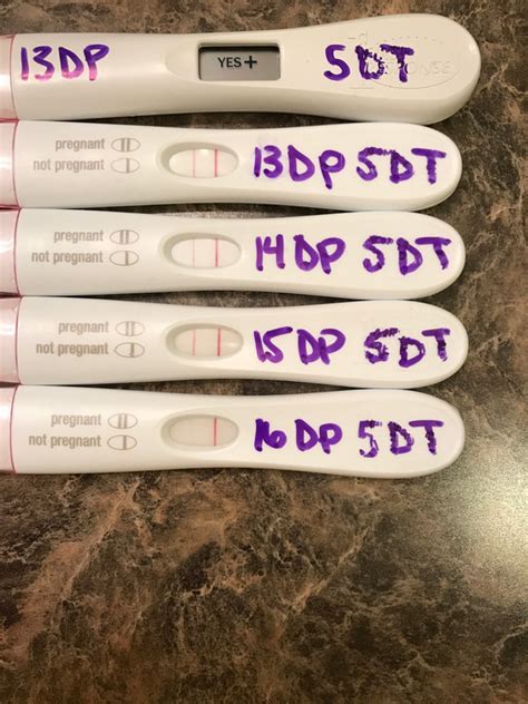 My beta was on 9/19 (12dp3dt)was <b>negative</b> & my RE instructed me to stop taking the PIO & Estrace. . Negative pregnancy test 12 days after embryo transfer